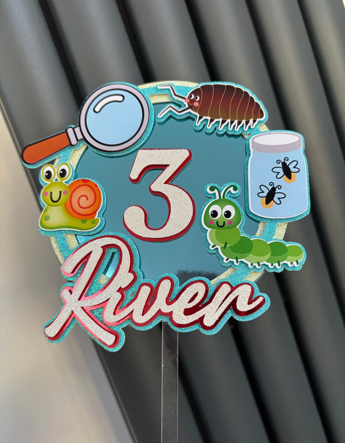 A colorful insect-themed birthday decoration or sign reading '3 River' with cartoon bugs including a snail, magnifying glass, beetle, caterpillar, and fly jar, shown hanging against a dark gray slatted background.